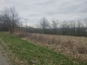 Prodej pozemku, Mezno - Stupčice, 4787 m2