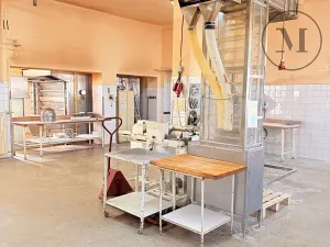 Prodej výrobních prostor, Netolice, Bavorovská, 650 m2