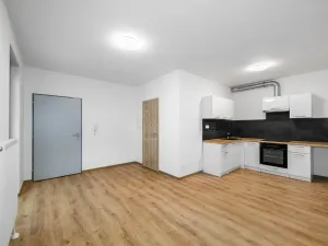 Pronájem bytu 2+kk, Plzeň, Poděbradova, 47 m2