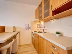 Pronájem bytu 1+kk, Jindřichův Hradec - Jindřichův Hradec II, sídliště U Nádraží, 25 m2