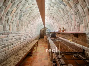 Prodej rodinného domu, Čejkovice, 468 m2