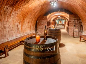 Prodej rodinného domu, Čejkovice, 468 m2