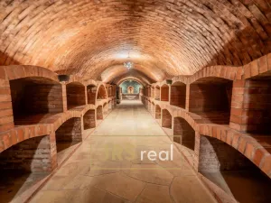 Prodej rodinného domu, Čejkovice, 468 m2