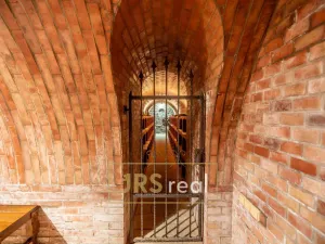 Prodej rodinného domu, Čejkovice, 468 m2