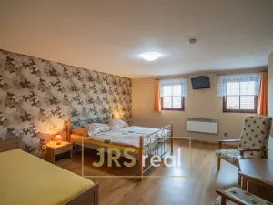 Prodej ubytování, Čejkovice, 468 m2