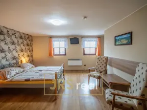 Prodej ubytování, Čejkovice, 468 m2