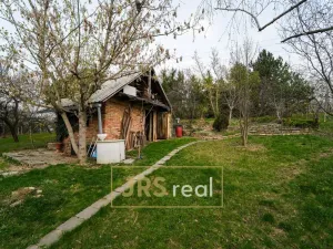 Prodej rodinného domu, Hustopeče, 295 m2