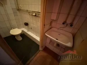 Pronájem obchodního prostoru, Opava - Předměstí, Hauerova, 54 m2