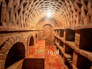 Prodej - jiné, Bořetice, 90 m2