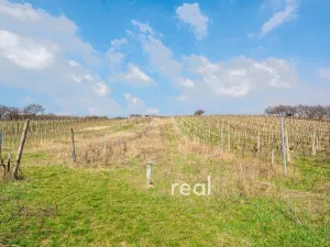 Prodej - jiné, Bořetice, 90 m2