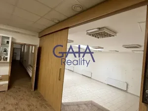 Pronájem obchodního prostoru, Hodonín, Příční, 364 m2