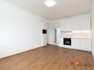 Pronájem bytu 2+kk, Opava - Předměstí, Sadová, 41 m2