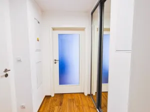 Pronájem bytu 2+kk, Plzeň, Šafaříkovy sady, 59 m2