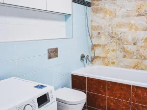 Pronájem bytu 2+kk, Plzeň, Šafaříkovy sady, 59 m2