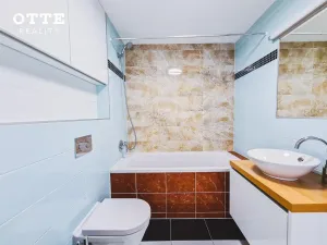 Pronájem bytu 2+kk, Plzeň, Šafaříkovy sady, 59 m2