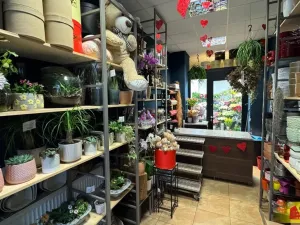 Pronájem obchodního prostoru, Brno - Brno-město, 26 m2