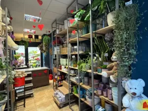 Pronájem obchodního prostoru, Brno - Brno-město, 26 m2