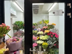 Pronájem obchodního prostoru, Brno - Brno-město, 26 m2