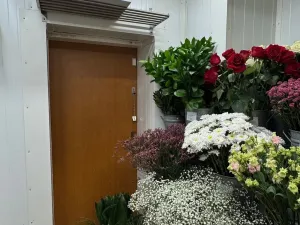 Pronájem obchodního prostoru, Brno - Brno-město, 26 m2