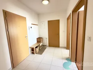Pronájem bytu 2+kk, České Budějovice, Staroměstská, 49 m2