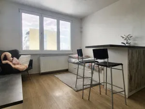 Pronájem bytu 1+kk, České Budějovice, Puklicova, 21 m2