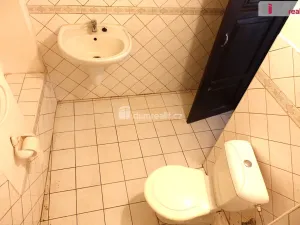 Prodej rodinného domu, Zvěstov - Laby, 60 m2