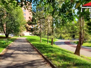 Prodej bytu 3+1, Brno, Krymská, 76 m2