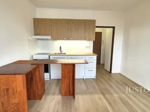 Pronájem bytu 1+1, Písek, třída Přátelství, 36 m2