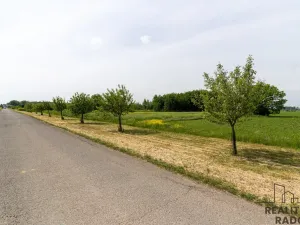 Prodej komerčního pozemku, Grygov, 3166 m2