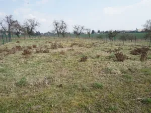 Pronájem zahrady, Jaroměř, Slovenská, 384 m2