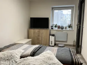 Pronájem bytu 3+1, Opava - Předměstí, Alšova, 60 m2