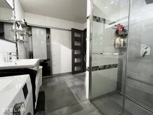 Pronájem bytu 3+1, Opava - Předměstí, Alšova, 60 m2
