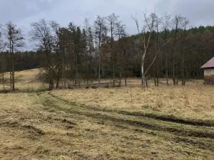 Prodej pole, Dolní Město, 124655 m2