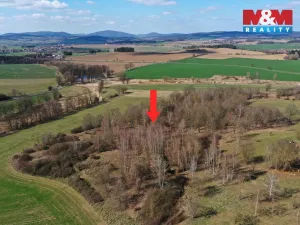 Prodej lesa, Obytce, 20042 m2