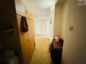 Prodej bytu 2+1, Most, Josefa Skupy, 55 m2