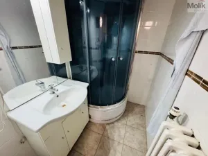 Prodej bytu 1+1, Most, Josefa Skupy, 37 m2