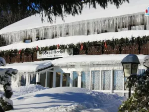 Prodej ubytování, Železná Ruda - Alžbětín, 2455 m2