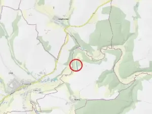 Prodej lesa, Rovná, 2569 m2