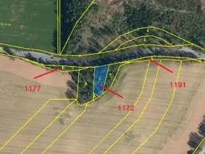 Prodej lesa, Nová Cerekev, 1967 m2