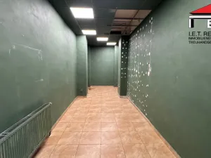 Pronájem obchodního prostoru, Brno, Kozí, 26 m2