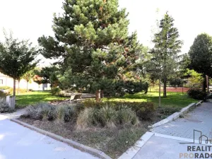 Pronájem bytu 1+1, Brno, Klobásova, 30 m2