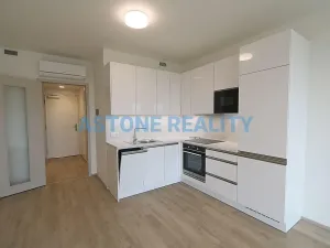 Pronájem bytu 1+kk, Praha - Žižkov, Šrámkové, 43 m2