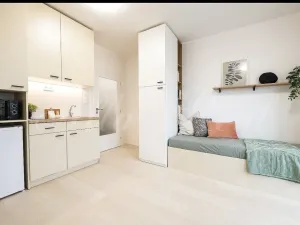 Pronájem bytu 1+kk, Brno - Zábrdovice, Bratislavská, 35 m2