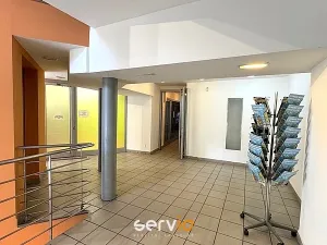 Pronájem obchodního prostoru, Brno, Masarykova, 30 m2