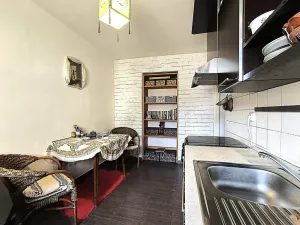 Prodej bytu 1+1, Brno, Klímova, 45 m2