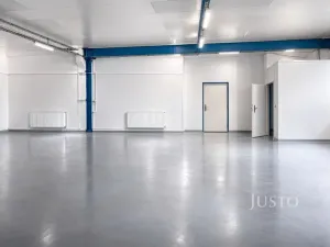 Pronájem skladu, Všejany, Na Prstýnku, 128 m2