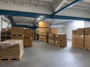Pronájem výrobních prostor, Všejany, Na Prstýnku, 300 m2