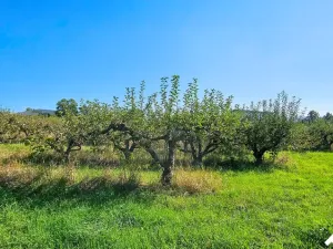 Prodej pozemku pro bydlení, Lipník nad Bečvou, 1245 m2