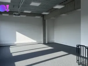Pronájem obchodního prostoru, Brno - Černovice, 439 m2