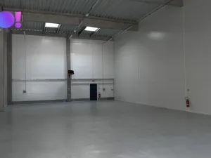 Pronájem obchodního prostoru, Brno - Černovice, 439 m2